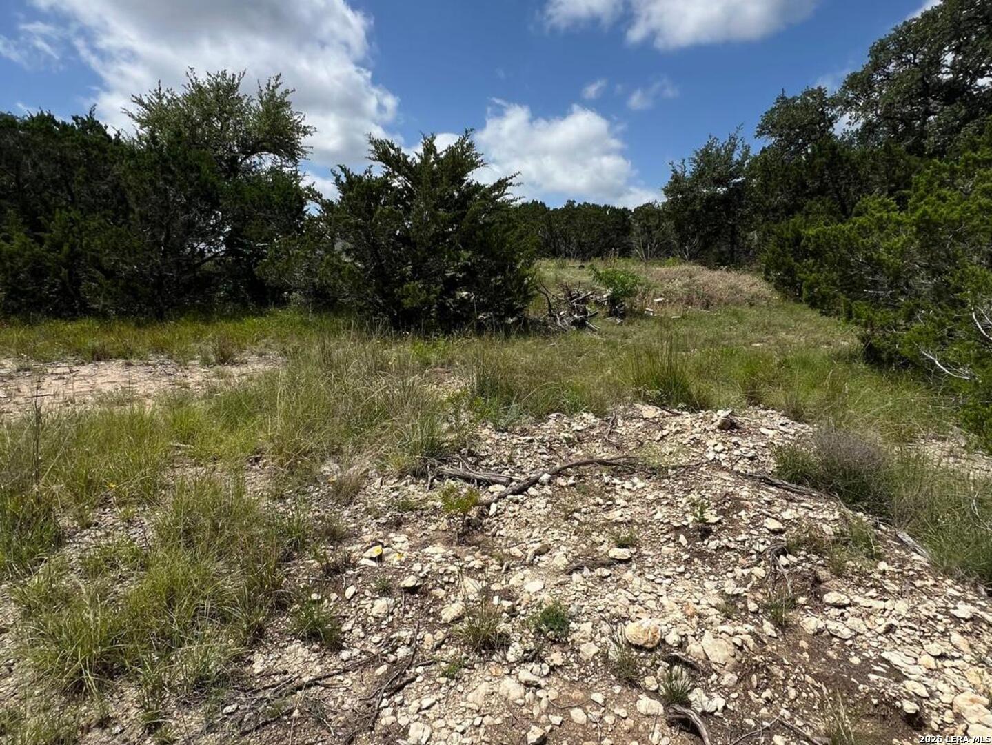 1188 Cliff Drive Spring Branch, TX 78070 - Photo 9 of 11