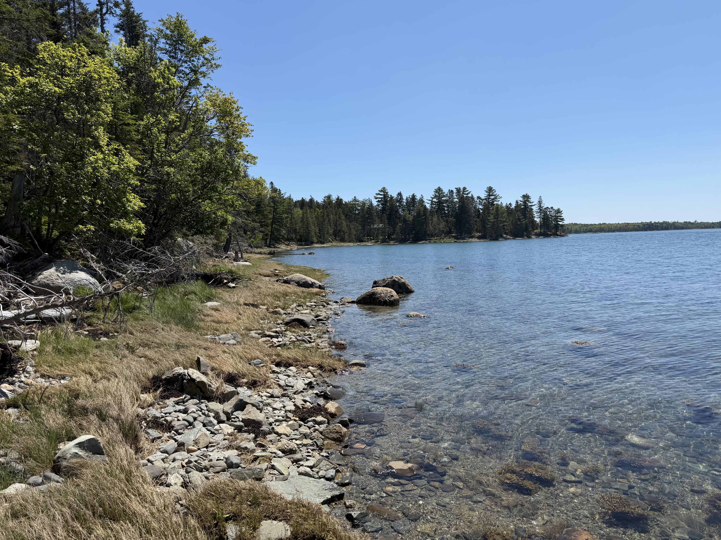 Lot 27 Breezy Bay Road Bar Harbor, ME 04609 - Photo 7 of 16 looking left