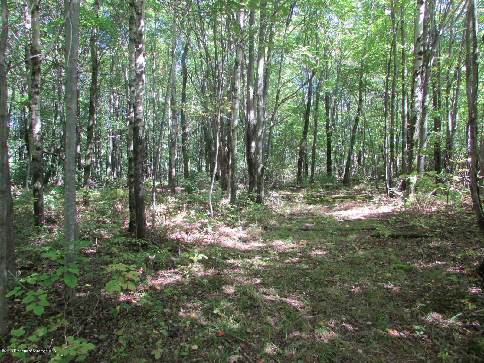229 Lake Road Thompson, PA 18465 - Photo 29 of 36 Gallery Image 29