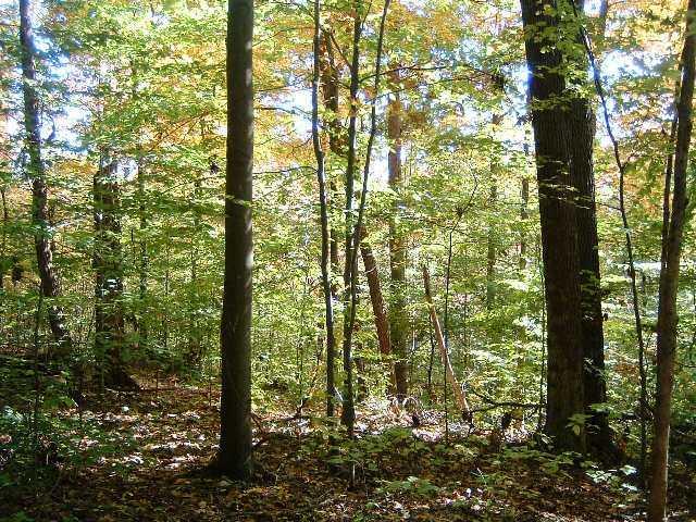 Bs2-3 Upper Oak Ridge Road Morgantown, IN 47448 - Photo 2 of 3 Gallery Image 2