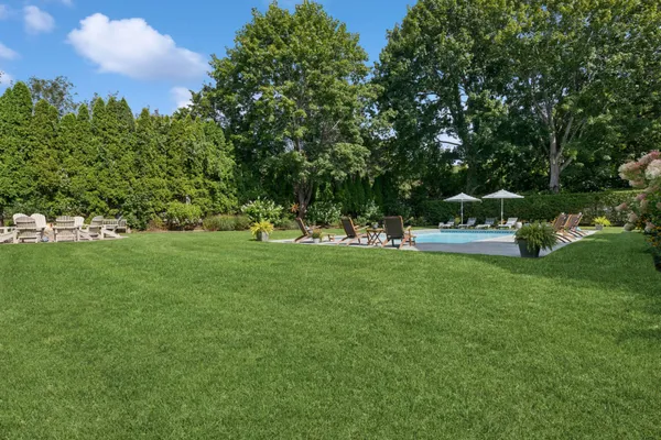 a view of a park with large trees