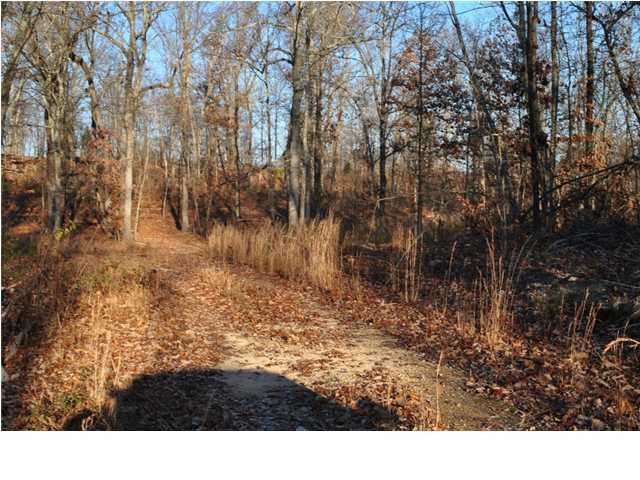 30 Hwy 95, Unit 1 Rock Spring, GA 30739 - Photo 13 of 25 Additional Photo