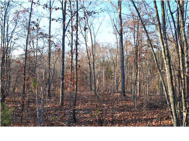 30 Hwy 95, Unit 1 Rock Spring, GA 30739 - Photo 15 of 25 Additional Photo