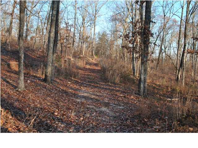 30 Hwy 95, Unit 1 Rock Spring, GA 30739 - Photo 16 of 25 Additional Photo