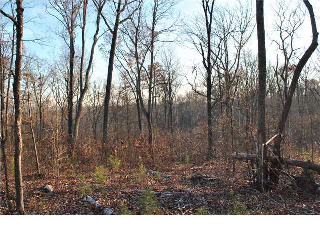 30 Hwy 95, Unit 1 Rock Spring, GA 30739 - Photo 24 of 25 Additional Photo