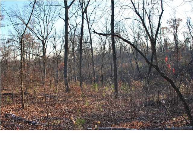 30 Hwy 95, Unit 1 Rock Spring, GA 30739 - Photo 25 of 25 Additional Photo