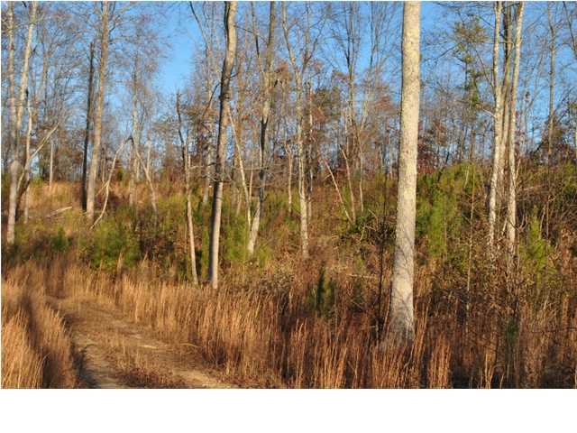 30 Hwy 95, Unit 1 Rock Spring, GA 30739 - Photo 3 of 25 Additional Photo