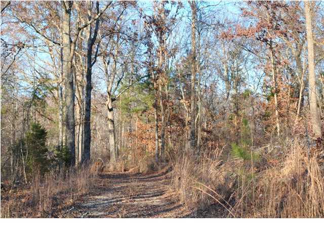 30 Hwy 95, Unit 1 Rock Spring, GA 30739 - Photo 9 of 25 Additional Photo