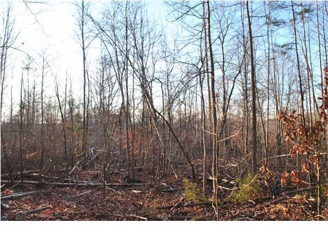 30 Hwy 95, Unit 1 Rock Spring, GA 30739 - Photo 10 of 25 Additional Photo