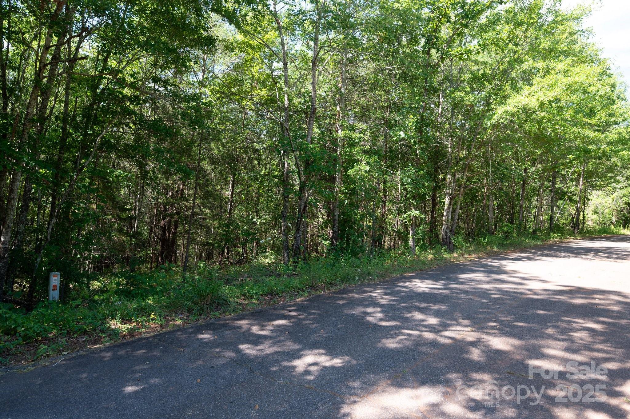 Lot # Meadow Crossing Drive Rutherfordton, NC 28139 - Photo 10 of 14 a view of a street with a trees