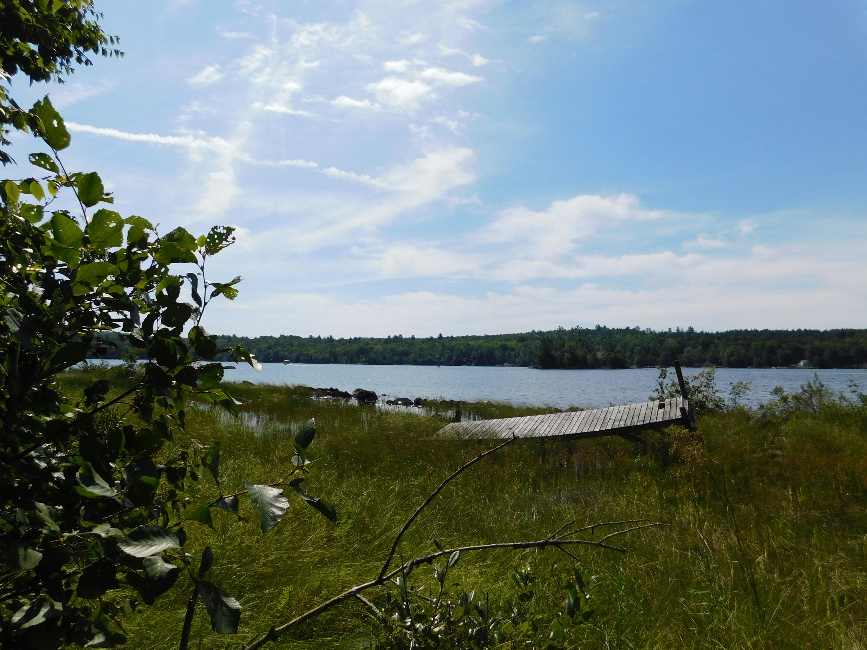 Lot 4 Flag Cove Road Dover-Foxcroft, ME 04426 - Photo 13 of 41 DSCN2215