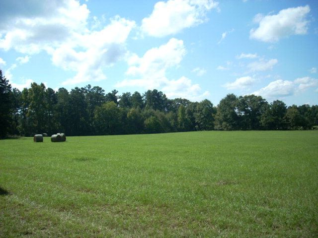 Lot 7 Cobbham Road Appling, GA 30802 - Photo 1 of 1 Main View