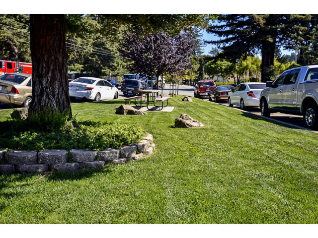 111 Hames Road Corralitos, CA 95076 - Photo 25 of 25 a view of yard with cars