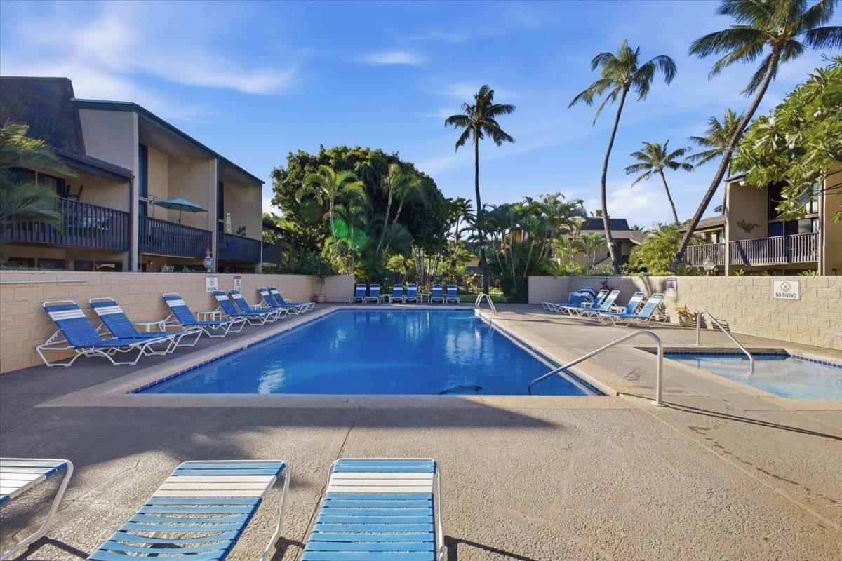 1299 Uluniu Road, Unit 201B Kihei, HI 96753 - Photo 27 of 42