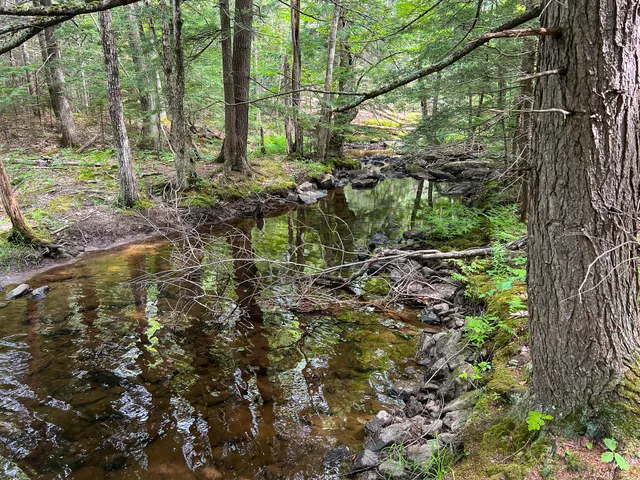 $59,000 | M9-l20 Monroe Road, Swanville, ME 04915