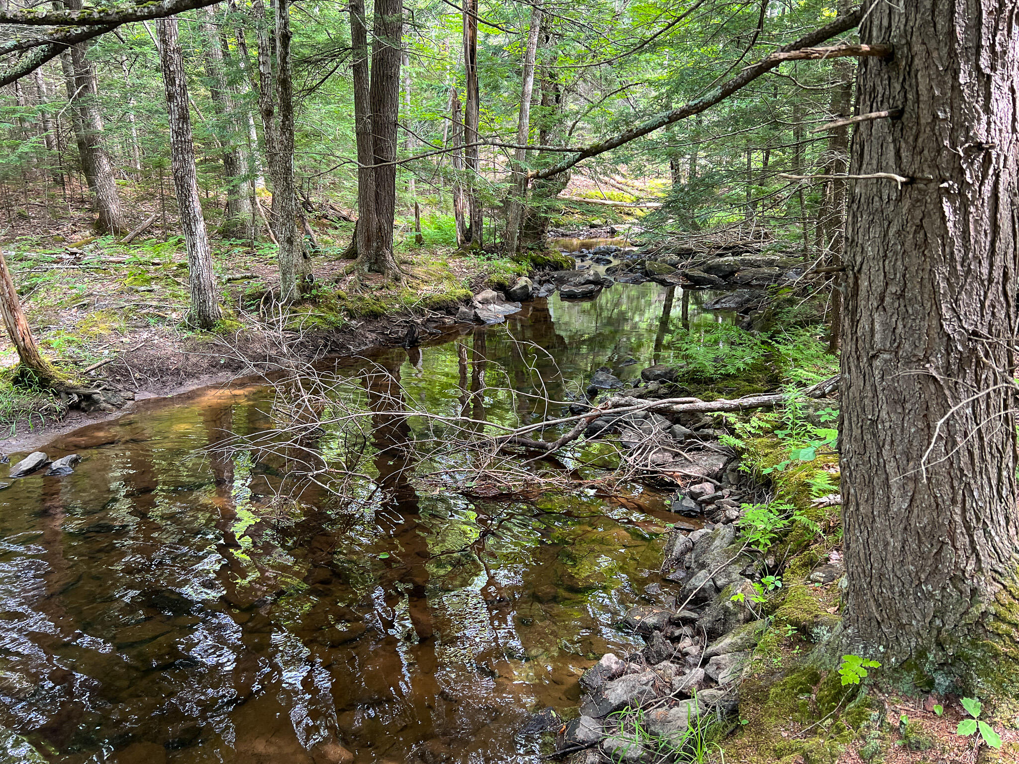 M9-l20 Monroe Road Swanville, ME 04915 - Photo 12 of 19 12