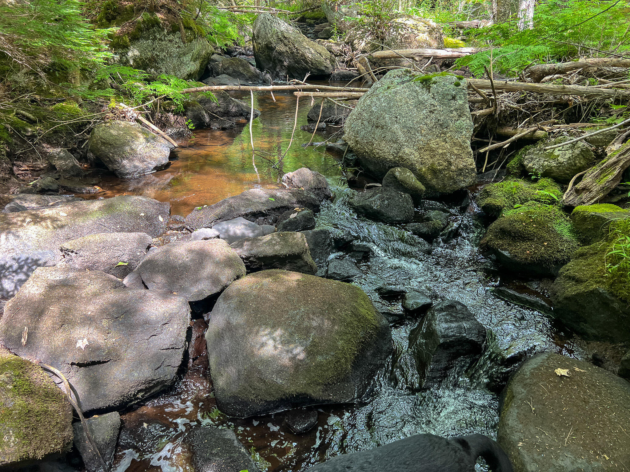 M9-l20 Monroe Road Swanville, ME 04915 - Photo 14 of 19 14