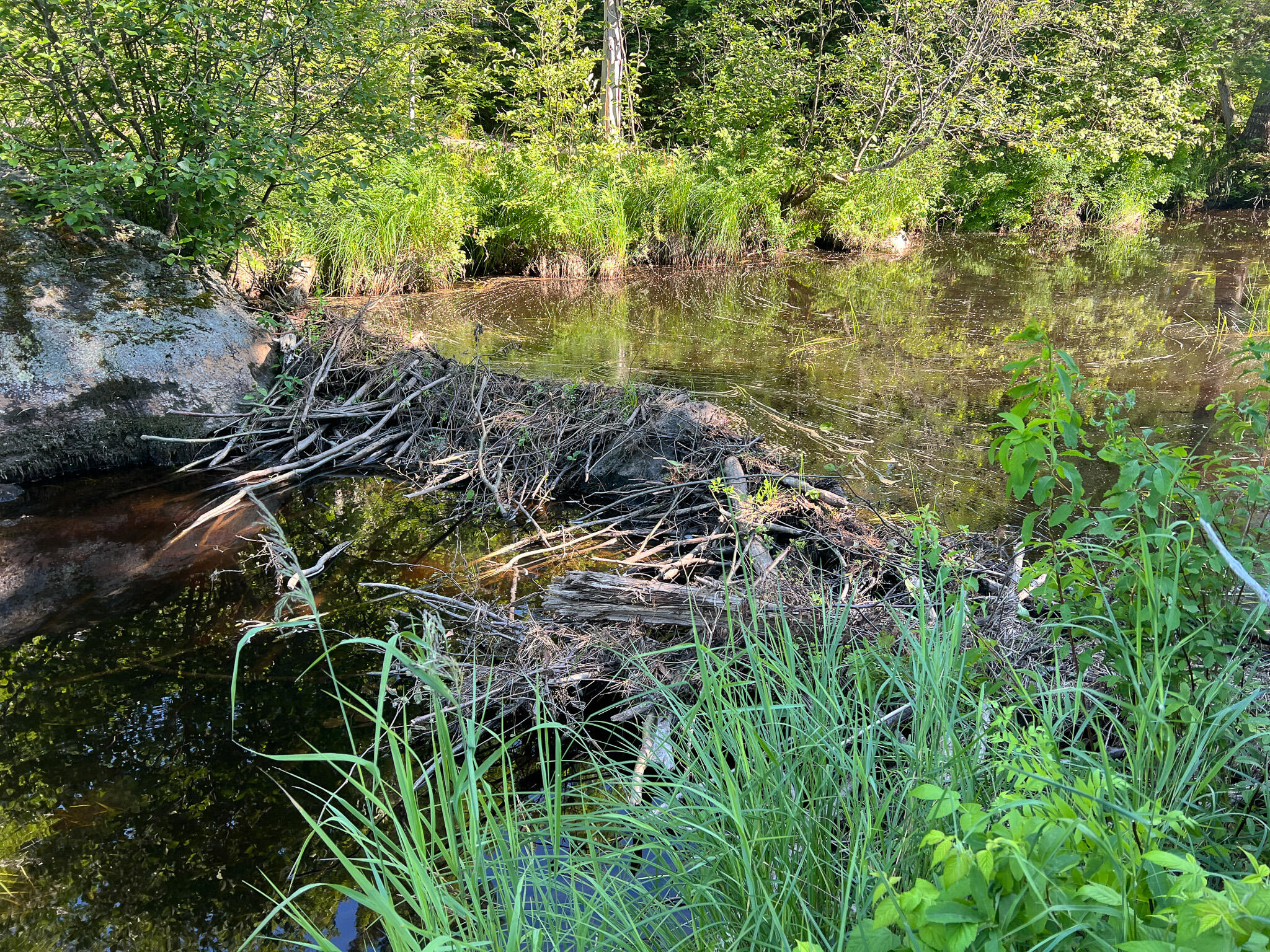 M9-l20 Monroe Road Swanville, ME 04915 - Photo 17 of 19 17