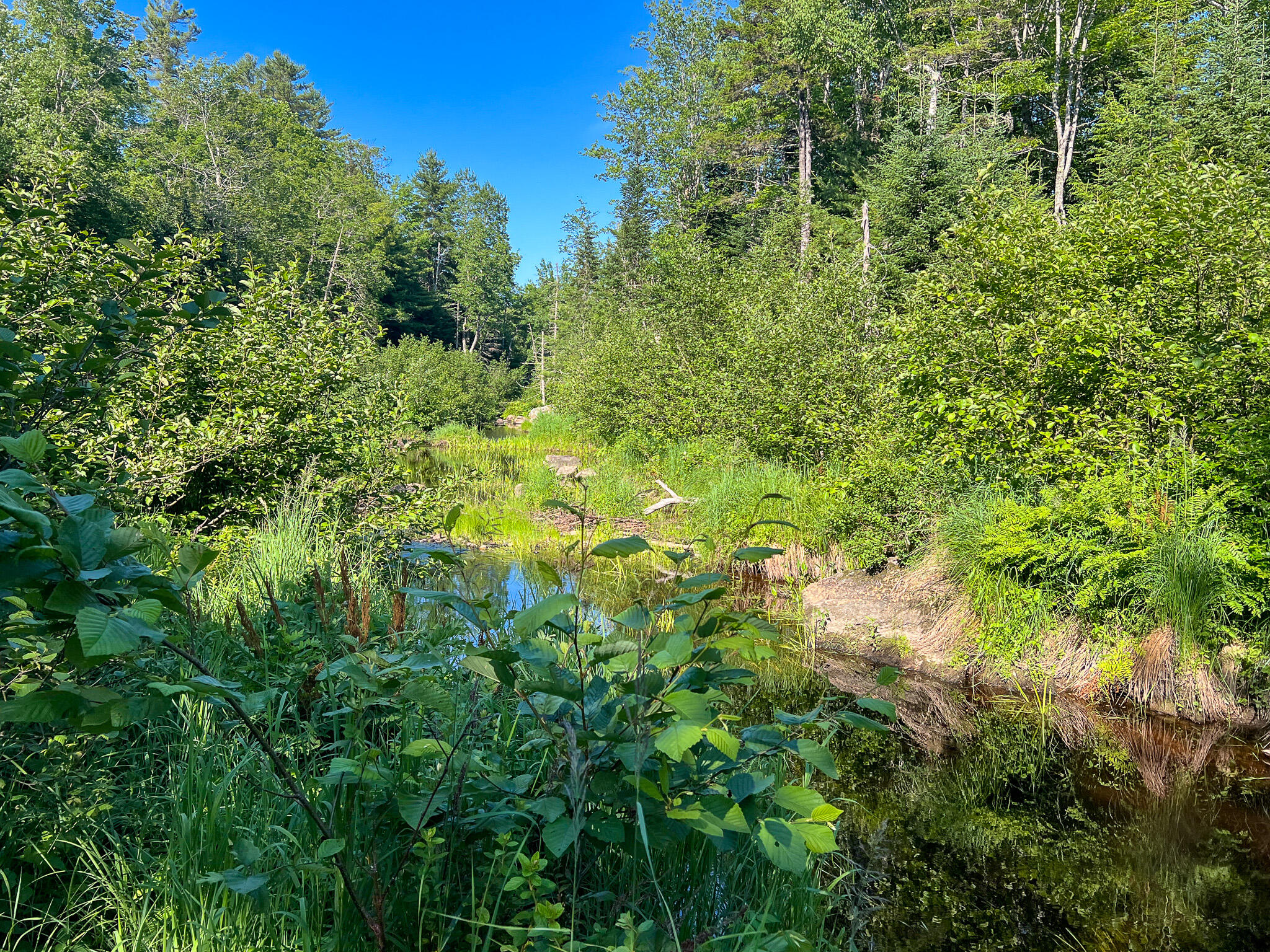 M9-l20 Monroe Road Swanville, ME 04915 - Photo 18 of 19 18