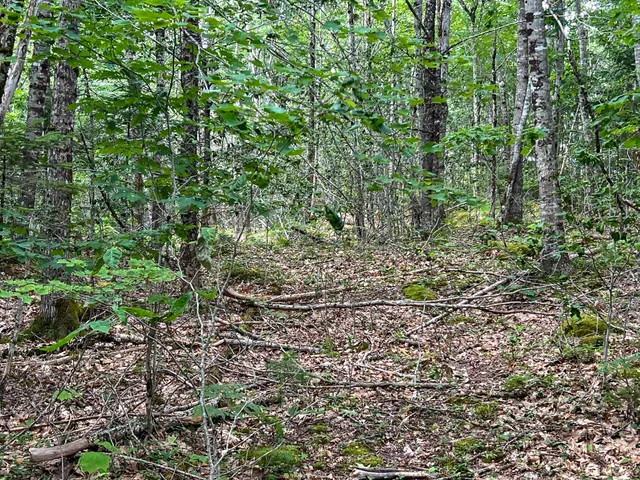 $59,000 | M9-l20 Monroe Road, Swanville, ME 04915