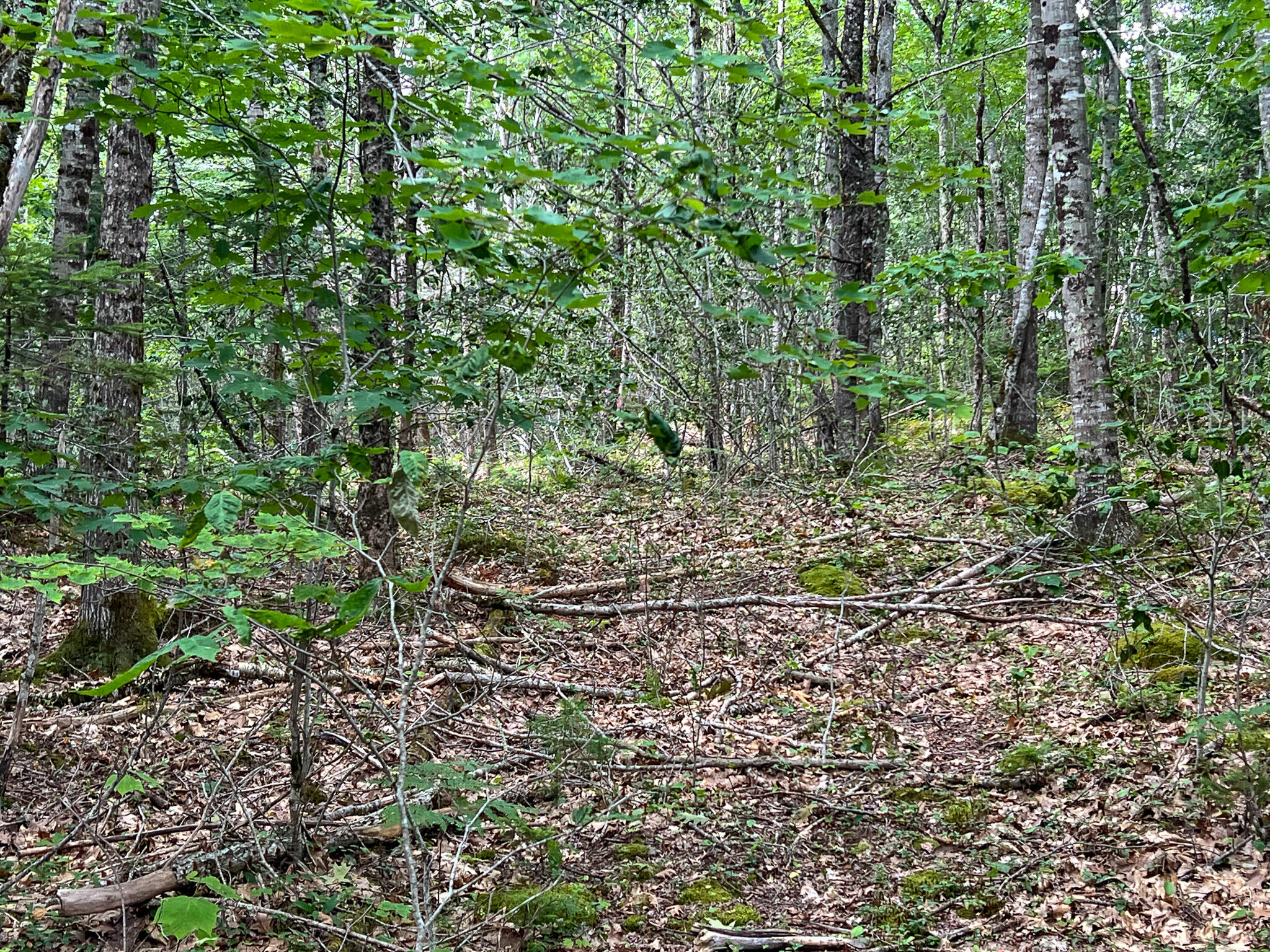 M9-l20 Monroe Road Swanville, ME 04915 - Photo 7 of 19 7