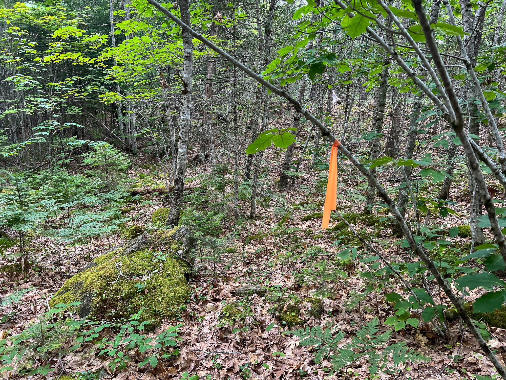 M9-l20 Monroe Road Swanville, ME 04915 - Photo 8 of 19 8