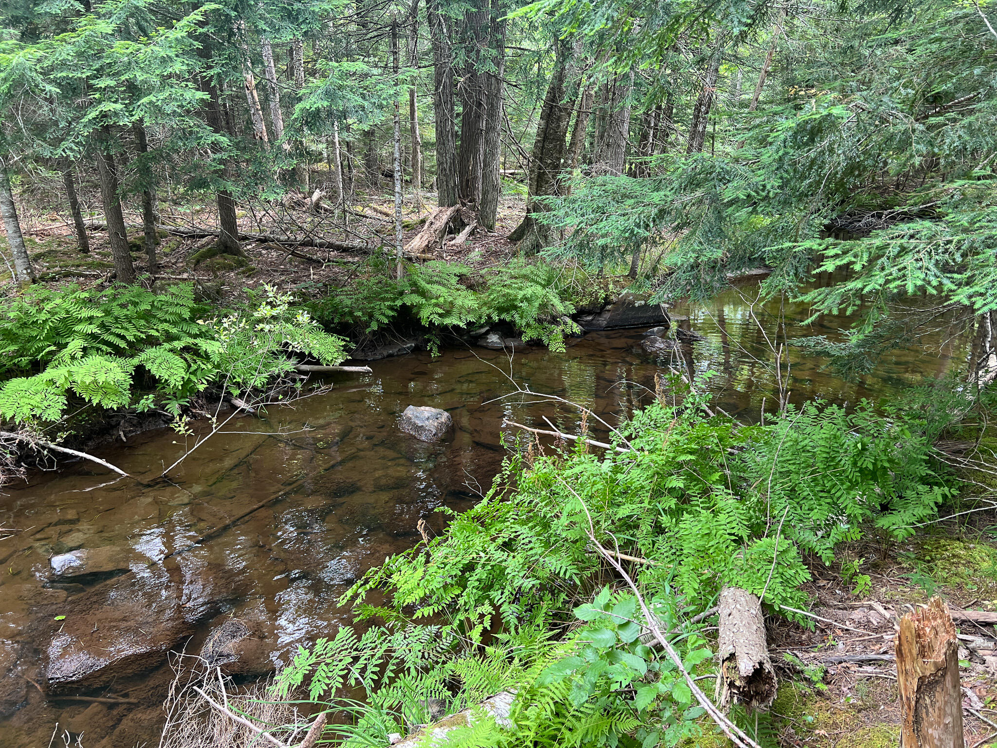 M9-l20 Monroe Road Swanville, ME 04915 - Photo 9 of 19 9