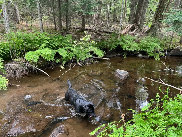 $59,000 | M9-l20 Monroe Road, Swanville, ME 04915