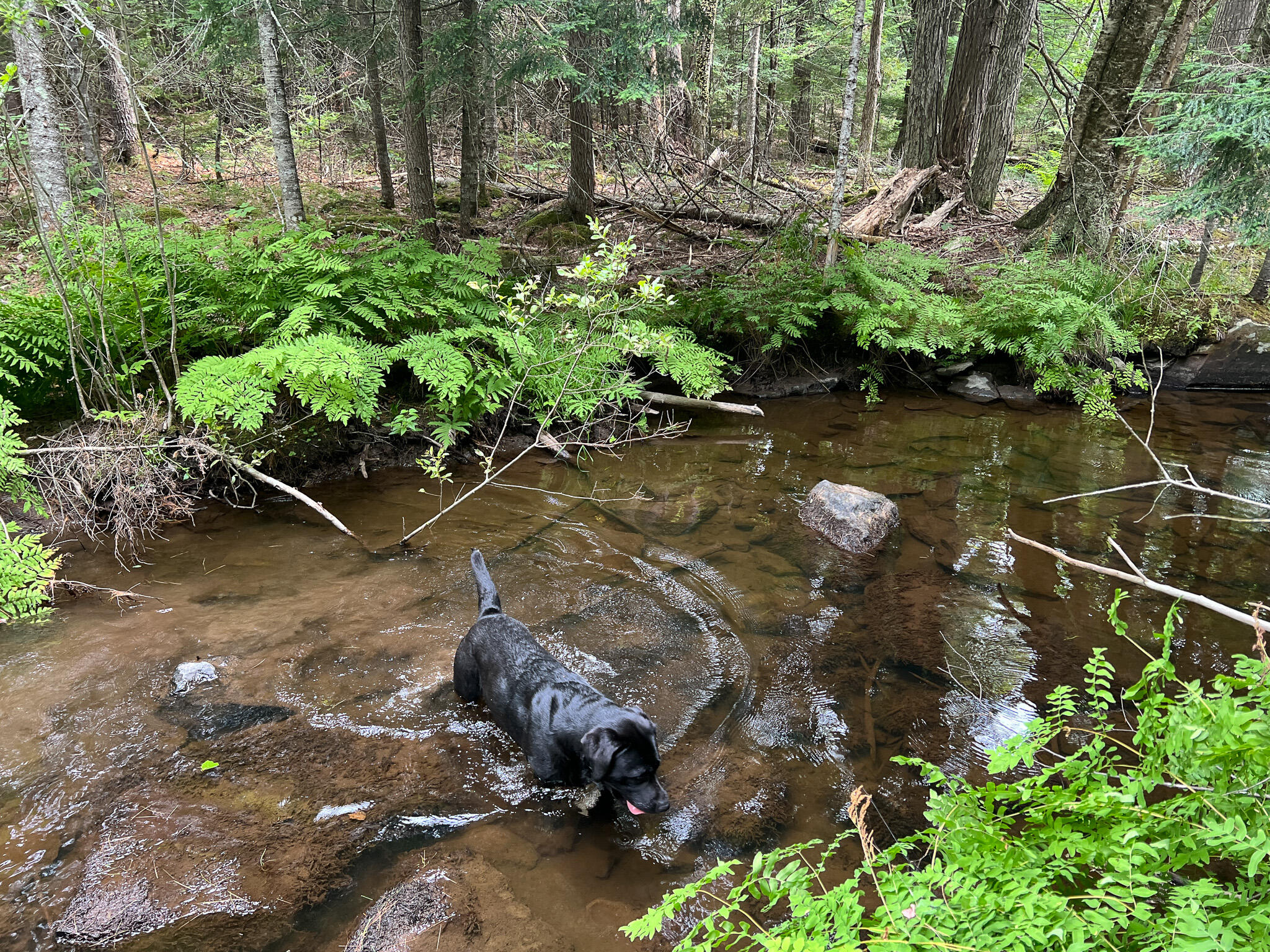 M9-l20 Monroe Road Swanville, ME 04915 - Photo 10 of 19 10