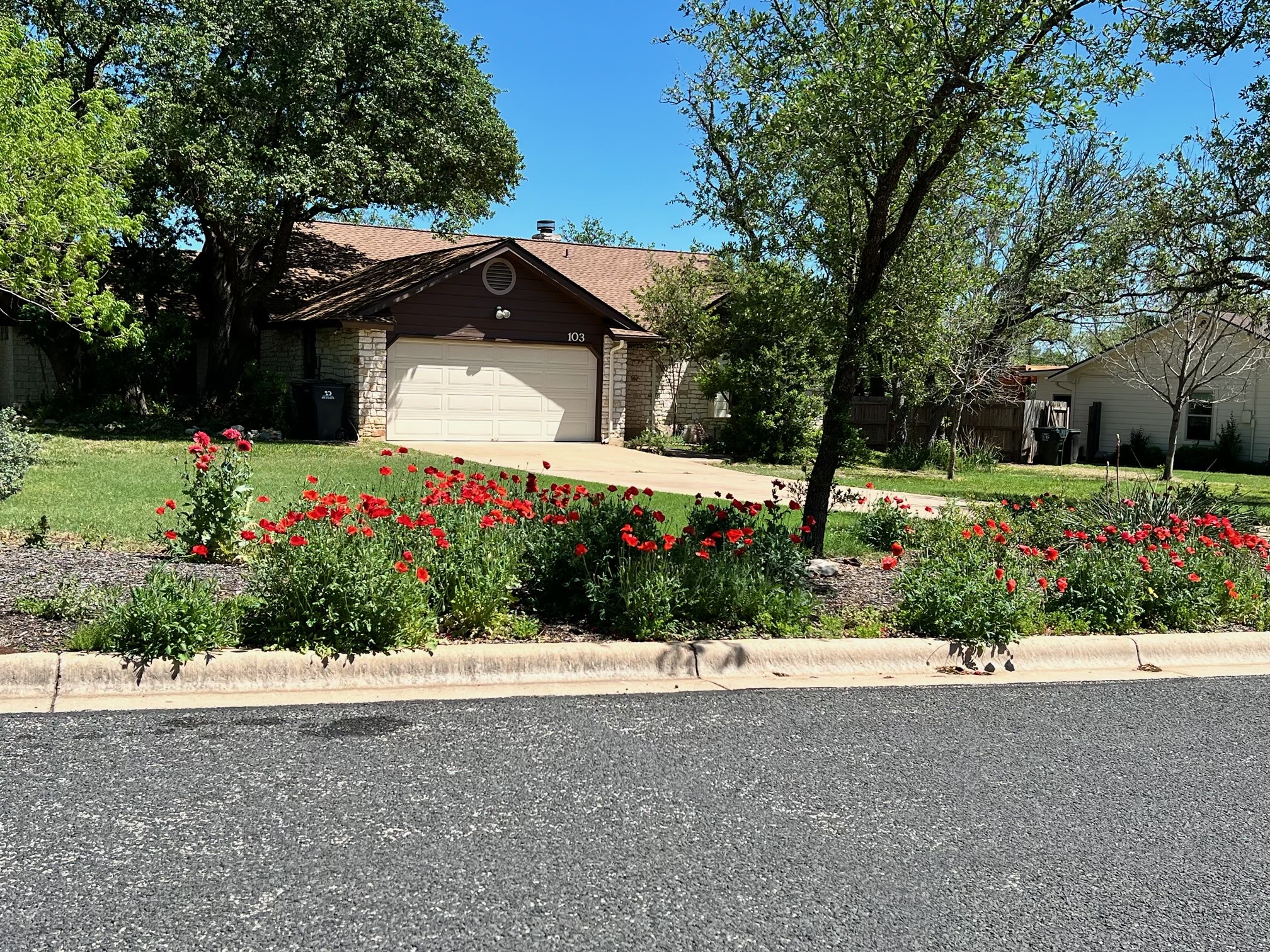 103 Turtle Bend Georgetown, TX 78628 - Photo 1 of 1 View with Red Poppies from April - come back each year!
