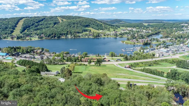 an aerial view of a residential houses with outdoor space and trees