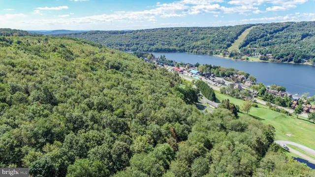 view of a lake with a mountain in the background