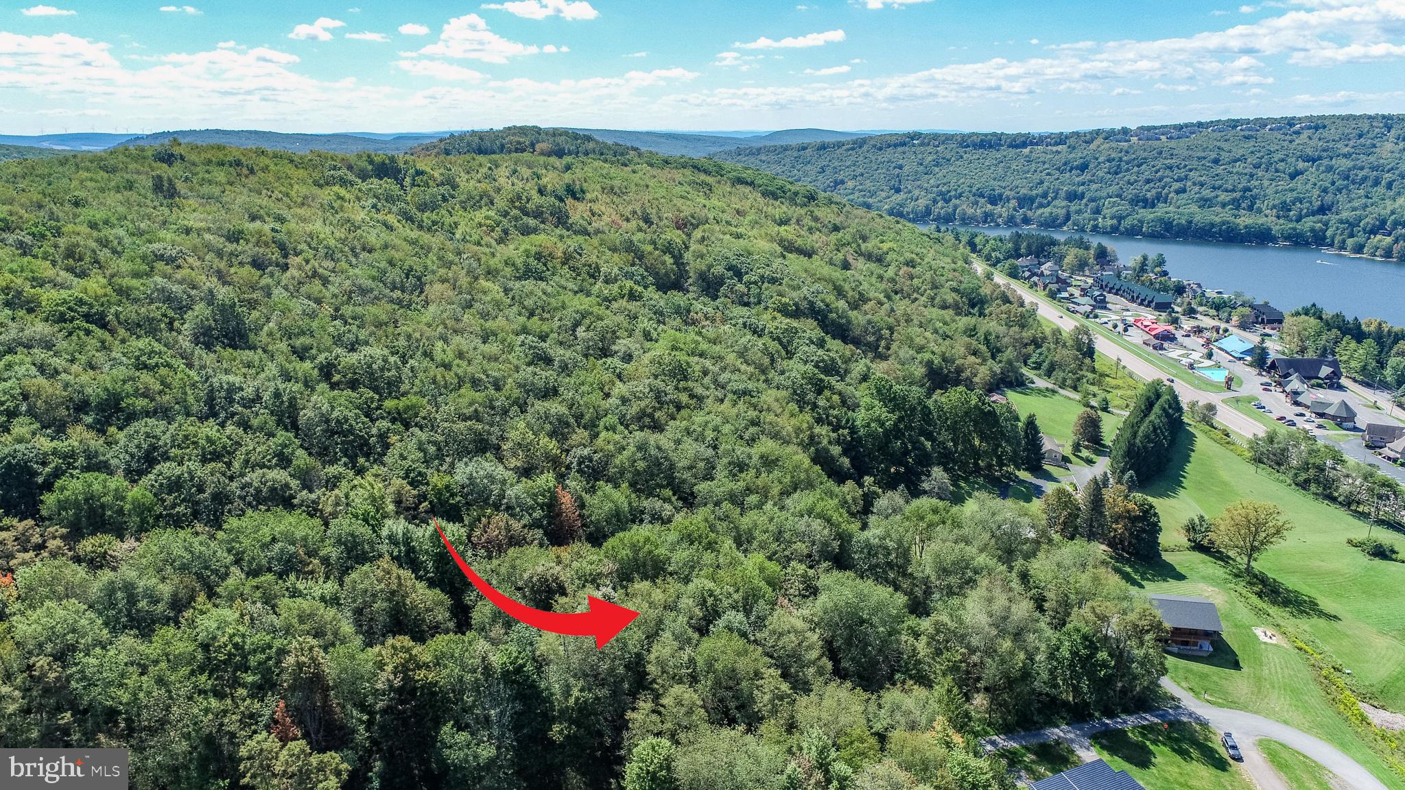 3 Fairgate Road McHenry, MD 21541 - Photo 14 of 33 a view of a garden with an outdoor space