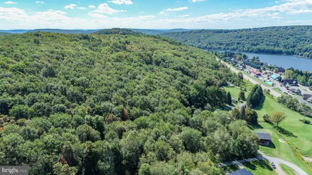 an aerial view of a houses with outdoor space and trees all around