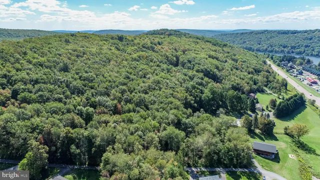an aerial view of residential houses with outdoor space and trees