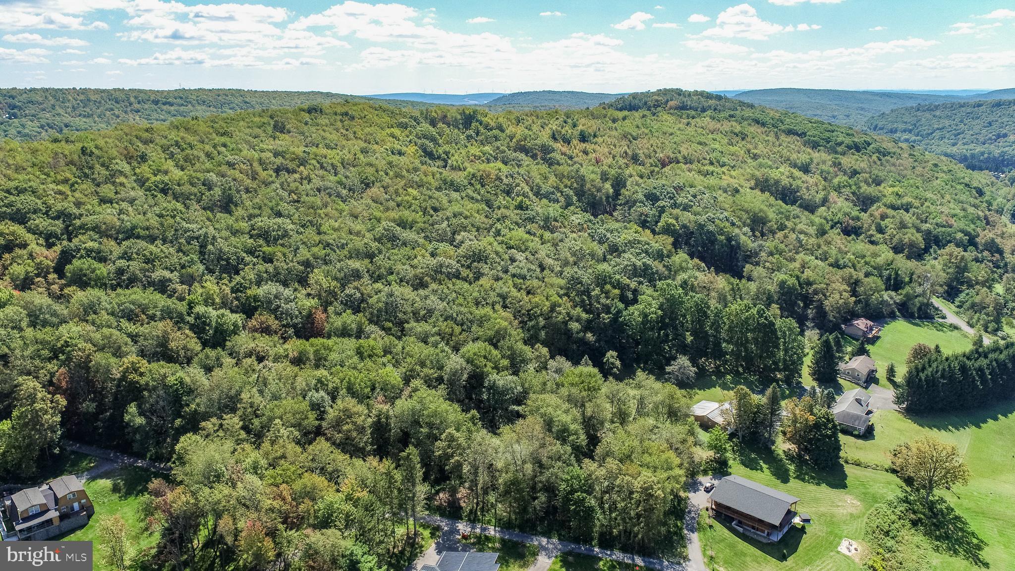 3 Fairgate Road McHenry, MD 21541 - Photo 17 of 33 a view of a green field with lots of trees