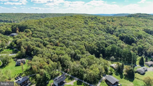 a view of a forest with a houses