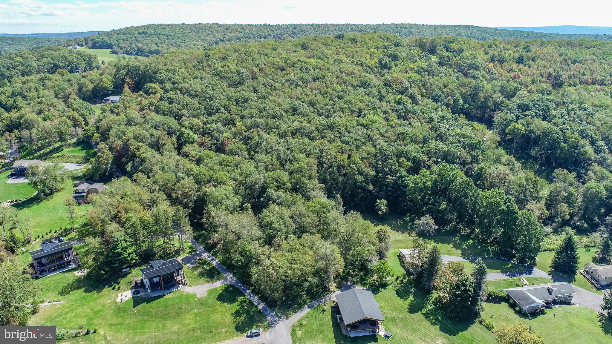3 Fairgate Road McHenry, MD 21541 - Photo 19 of 33 a view of a forest with a street