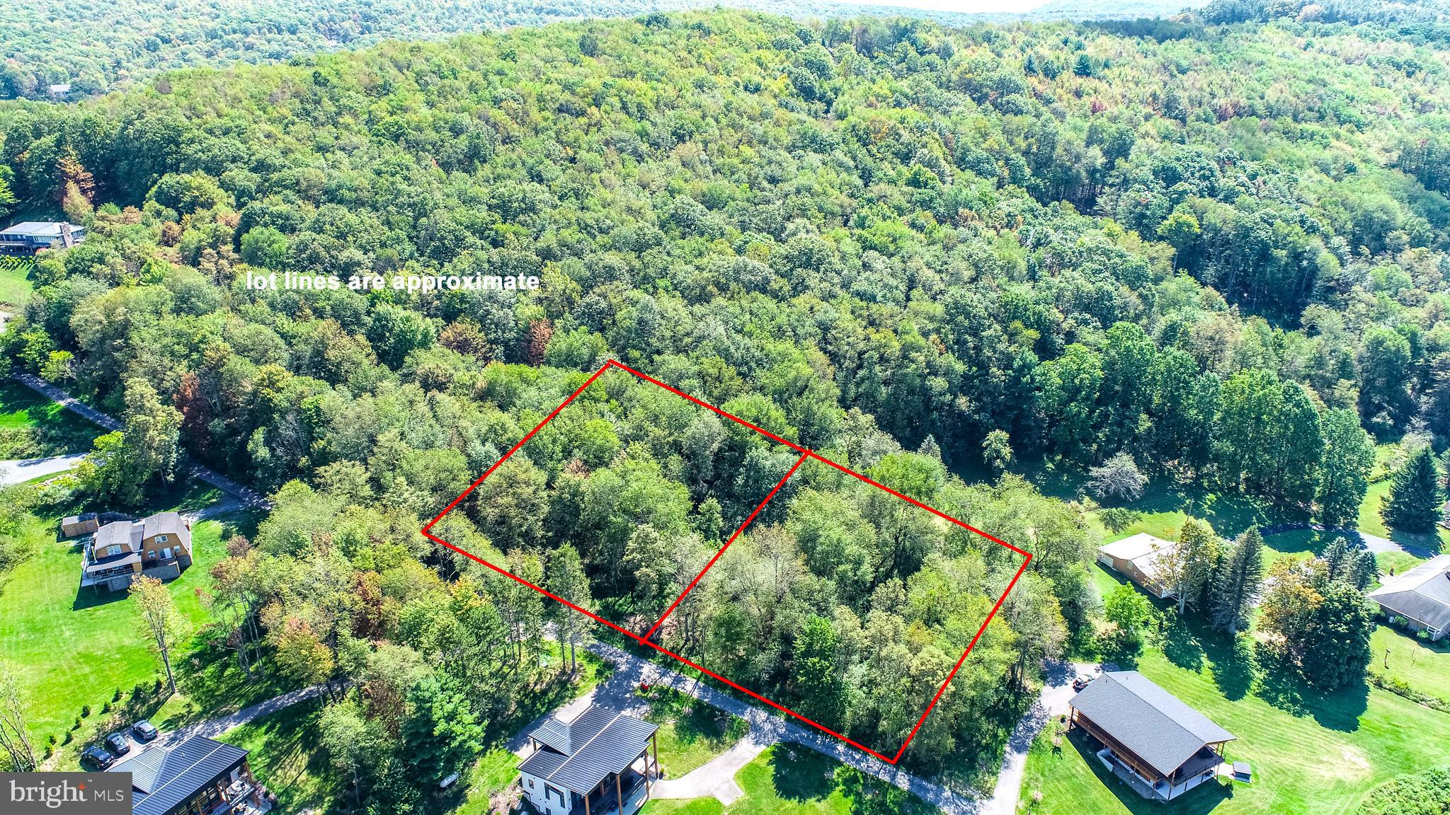 3 Fairgate Road McHenry, MD 21541 - Photo 2 of 33 an aerial view of residential house with outdoor space and trees all around