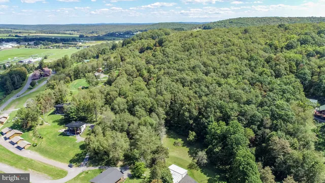 a view of a garden with an outdoor space