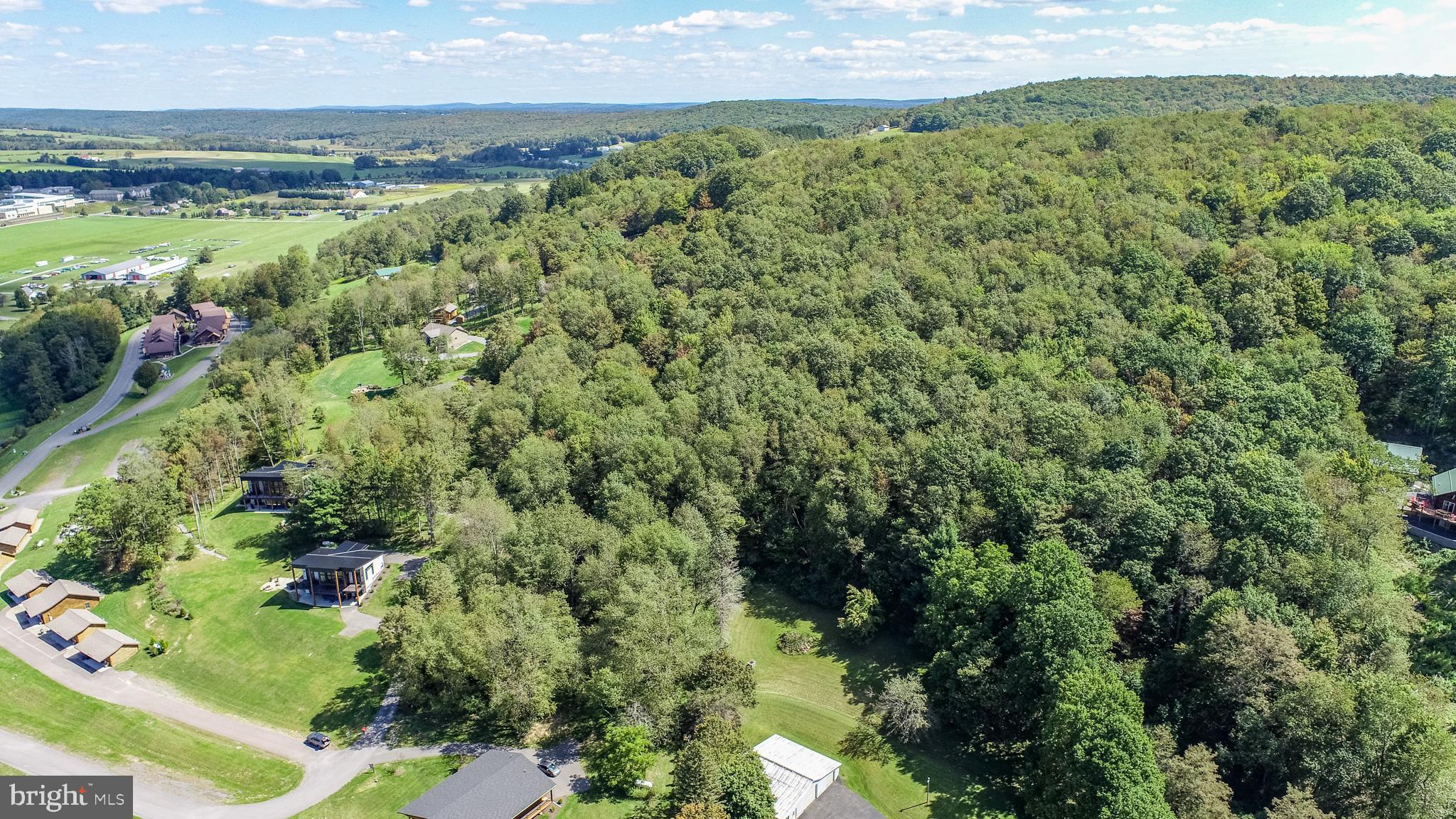 3 Fairgate Road McHenry, MD 21541 - Photo 21 of 33 a view of a garden with an outdoor space