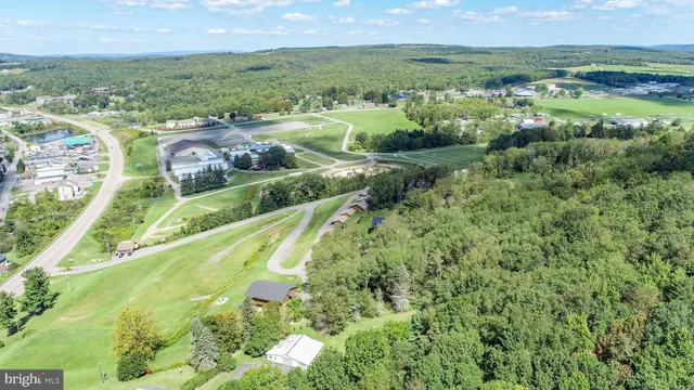 an aerial view of residential houses with outdoor space and trees
