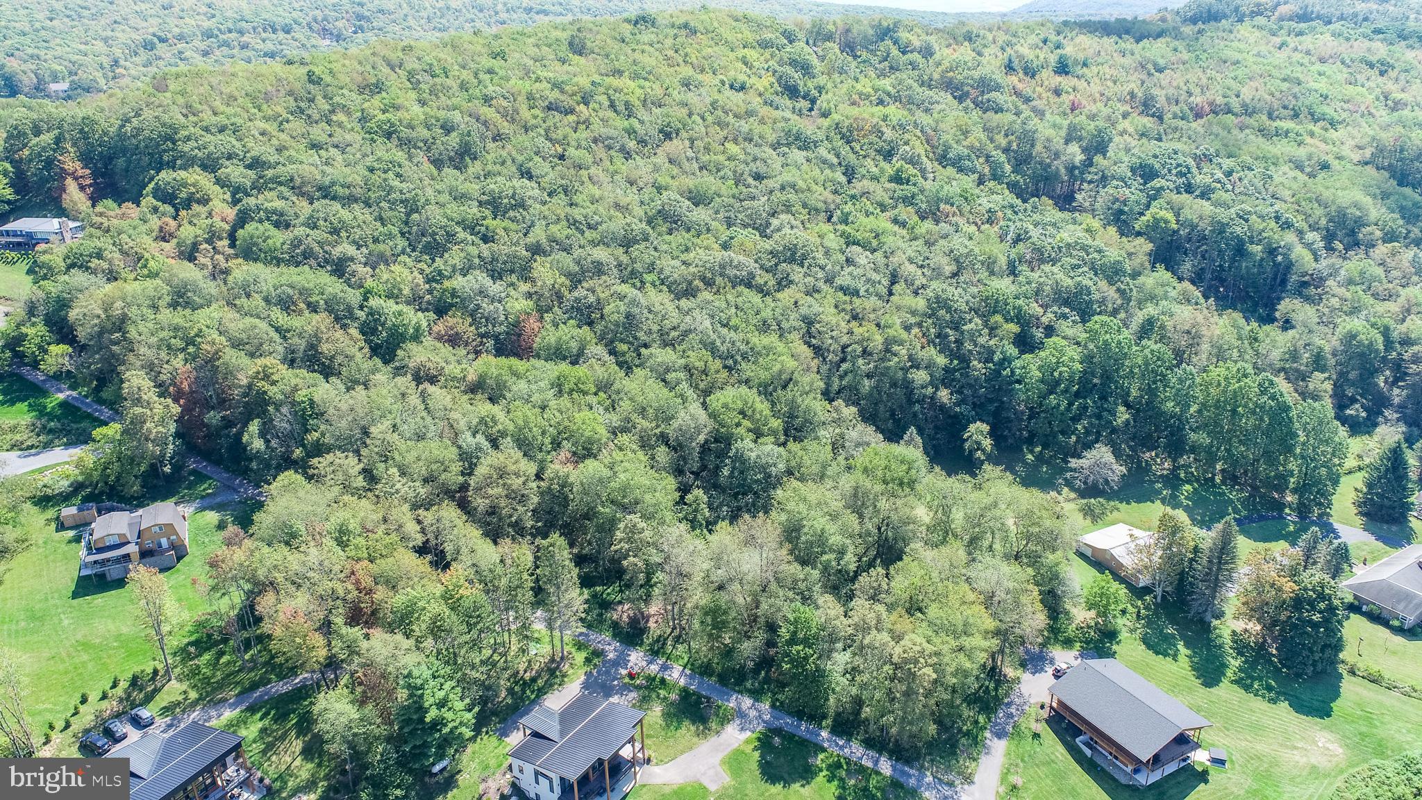 3 Fairgate Road McHenry, MD 21541 - Photo 33 of 33 an aerial view of residential house with outdoor space and trees all around