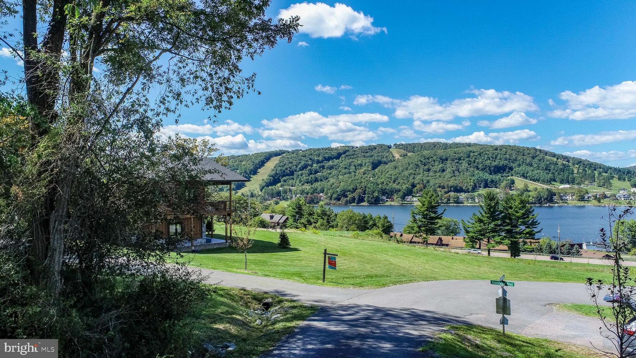 3 Fairgate Road McHenry, MD 21541 - Photo 5 of 33 a view of a garden with an tree