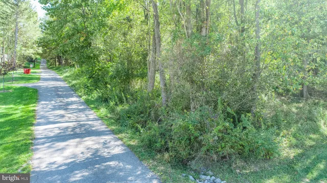 a view of a garden with trees