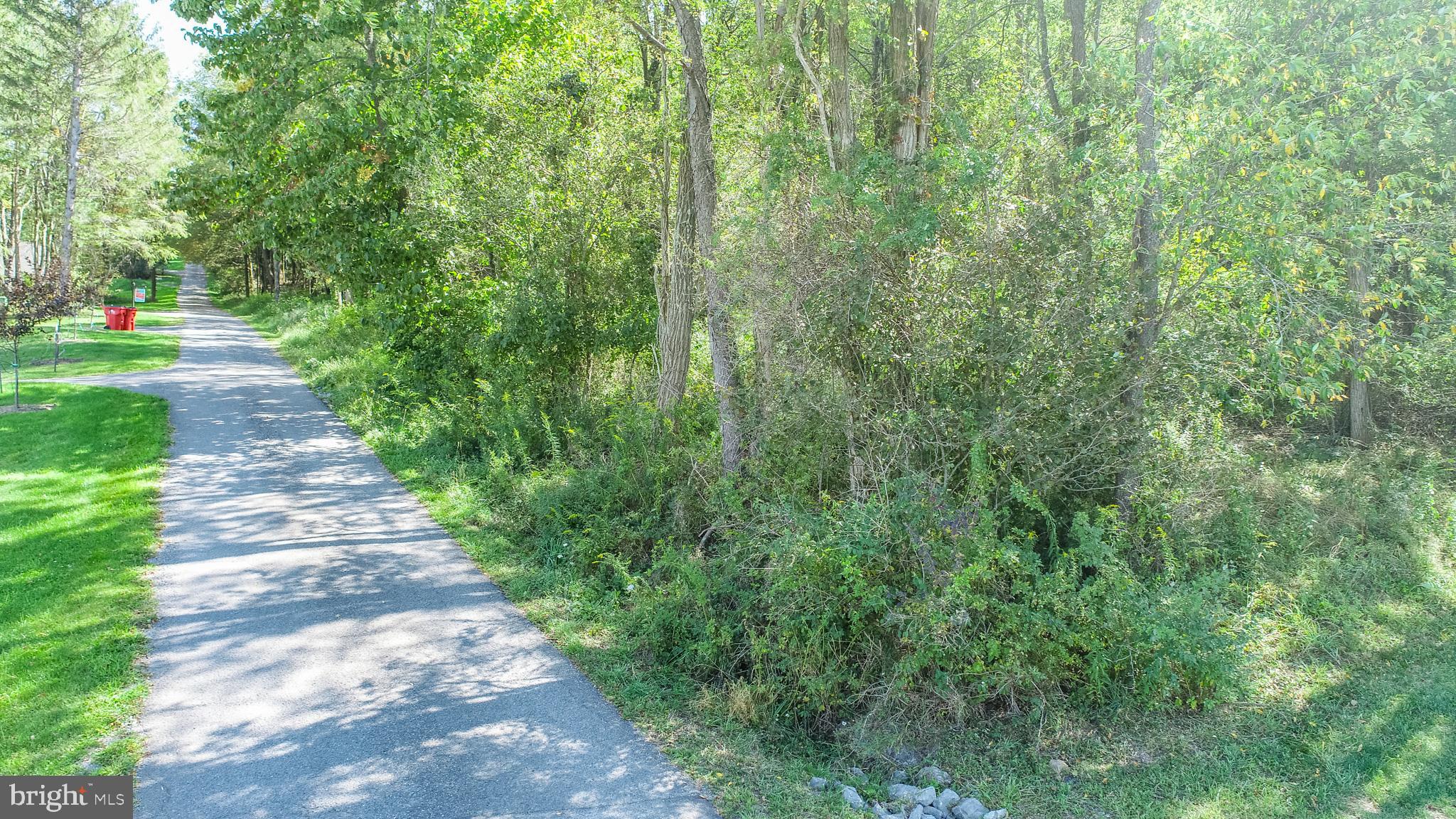3 Fairgate Road McHenry, MD 21541 - Photo 7 of 33 a view of a garden with trees