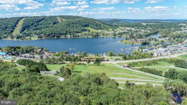an aerial view of a residential houses with outdoor space and trees