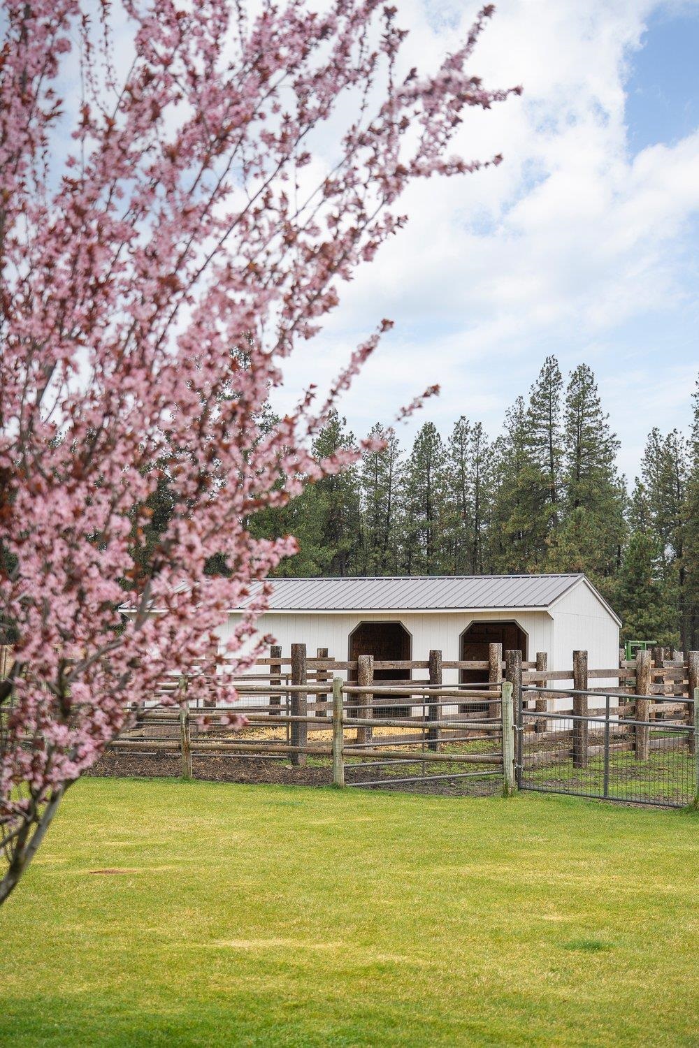 10201 West Jensen Road Cheney, WA 99004 - Photo 13 of 50