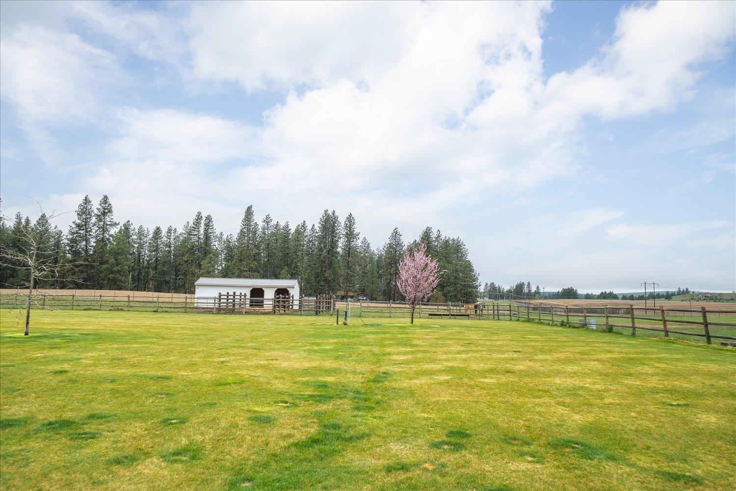 10201 West Jensen Road Cheney, WA 99004 - Photo 14 of 50