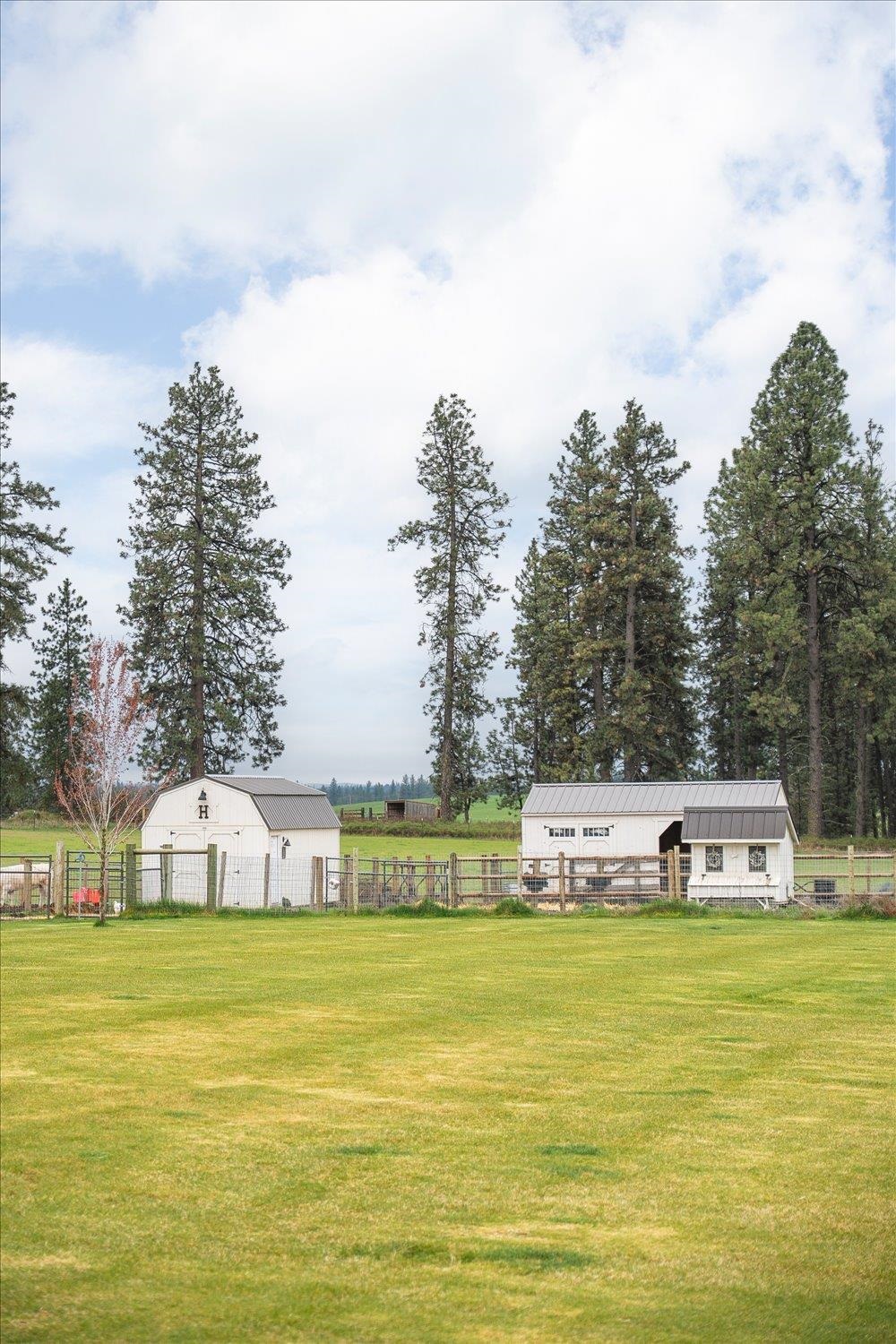 10201 West Jensen Road Cheney, WA 99004 - Photo 16 of 50